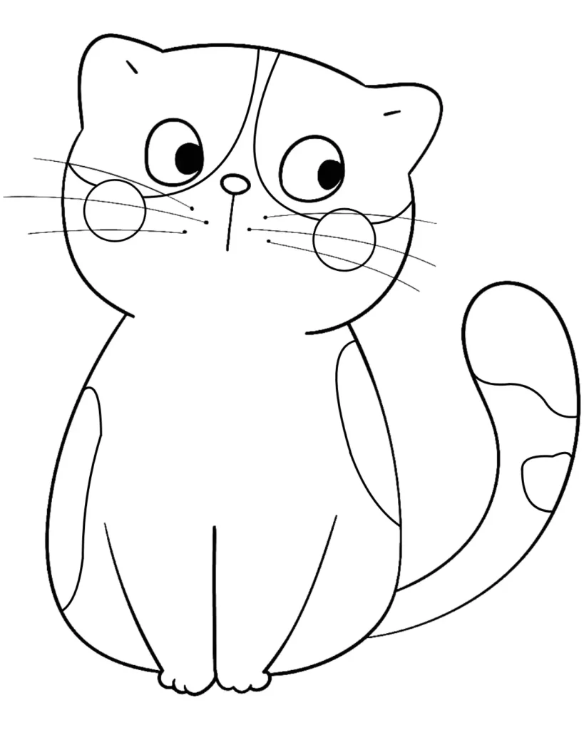 Cat-drawing-for-kids-step-8