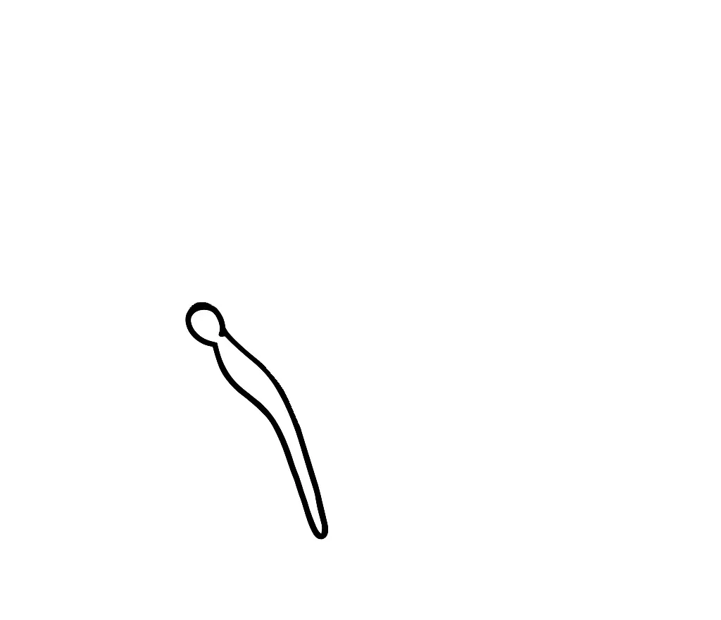 How-To-Draw-Butterfly-drawing-Step-1