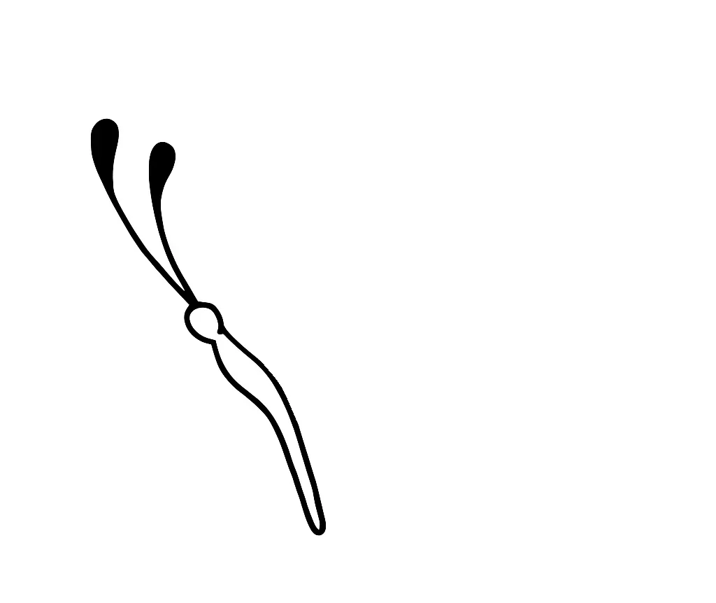 How-To-Draw-Butterfly-drawing-Step-2