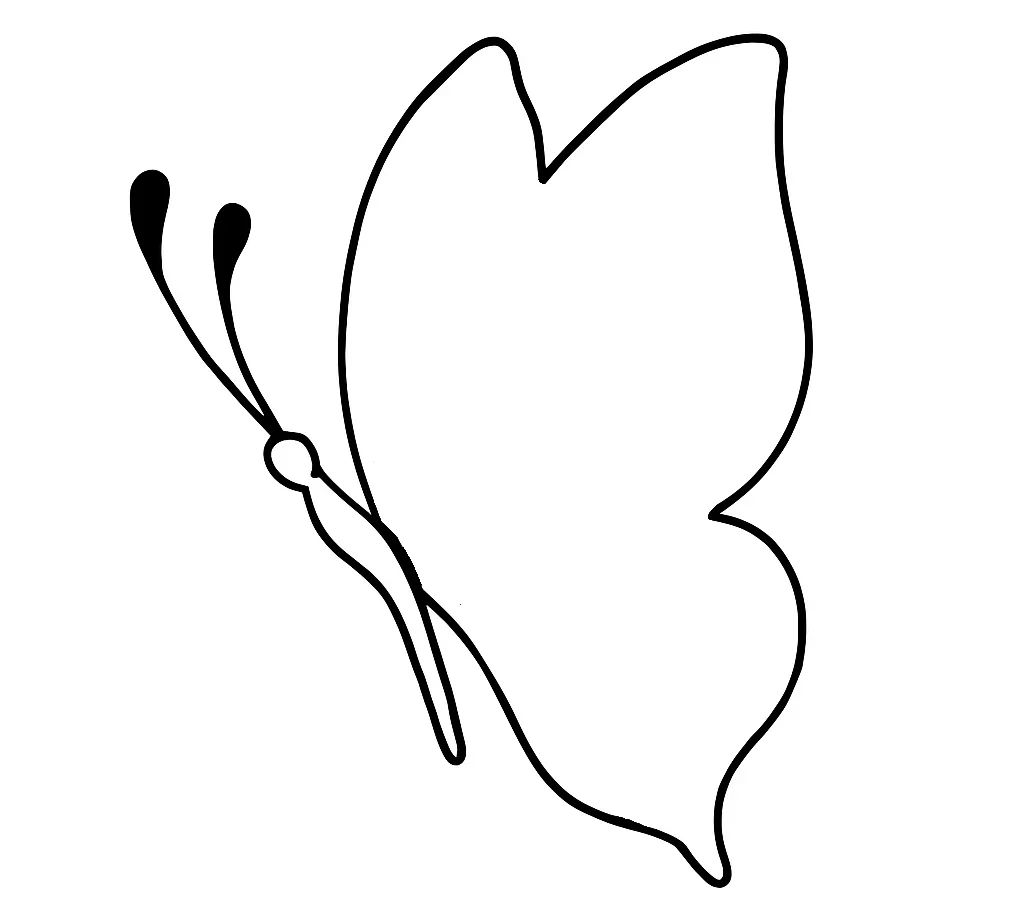 How-To-Draw-Butterfly-drawing-Step-3