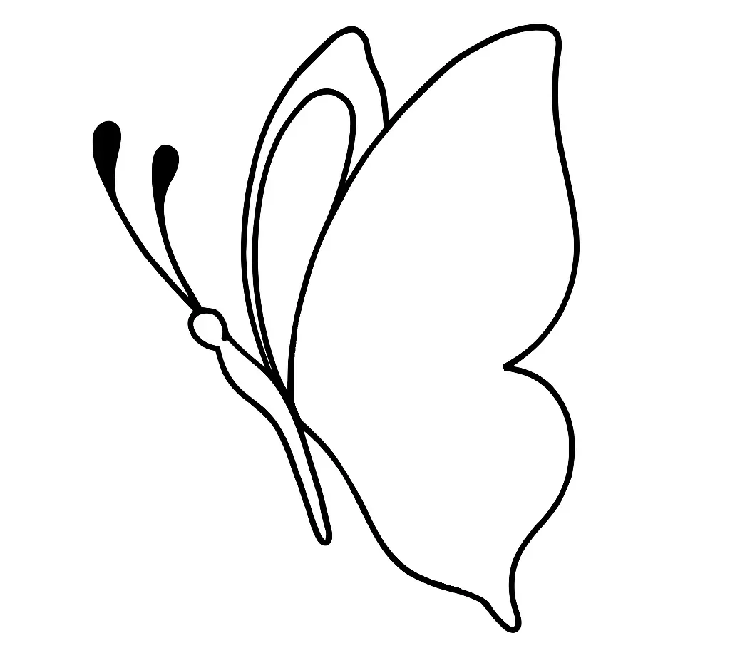 How-To-Draw-Butterfly-drawing-Step-4