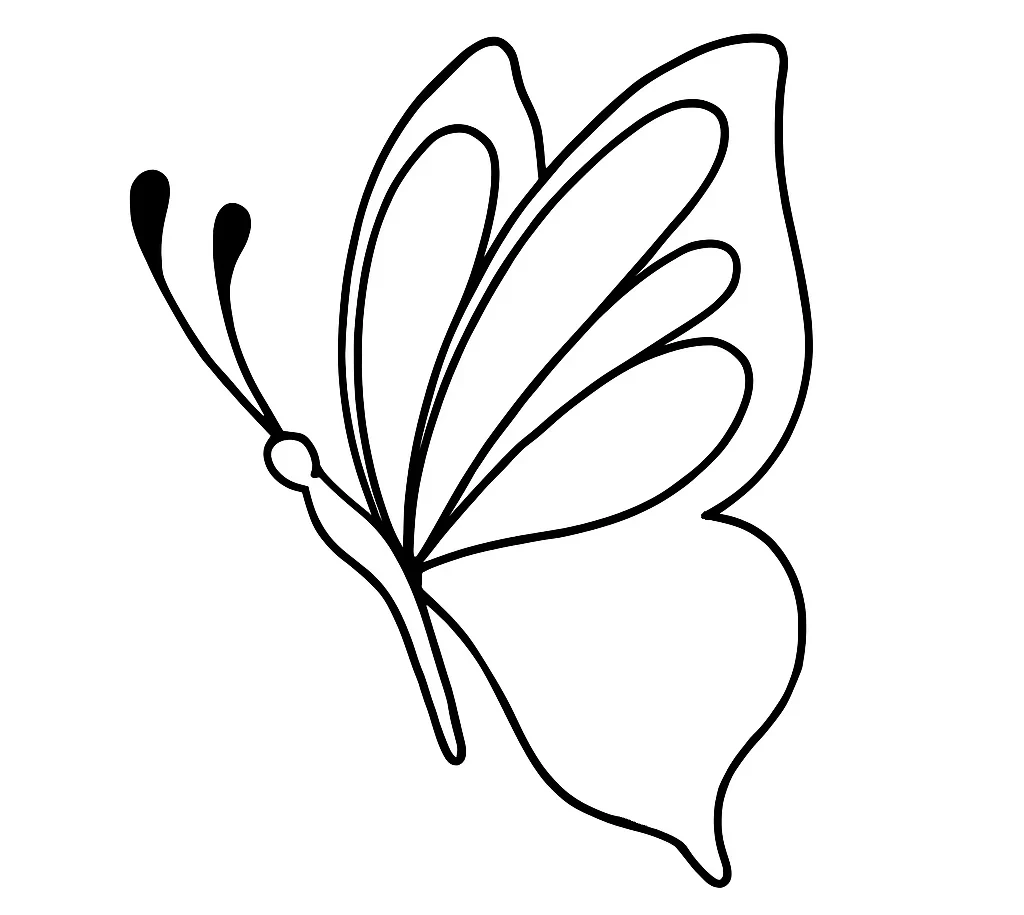 How-To-Draw-Butterfly-drawing-Step-5