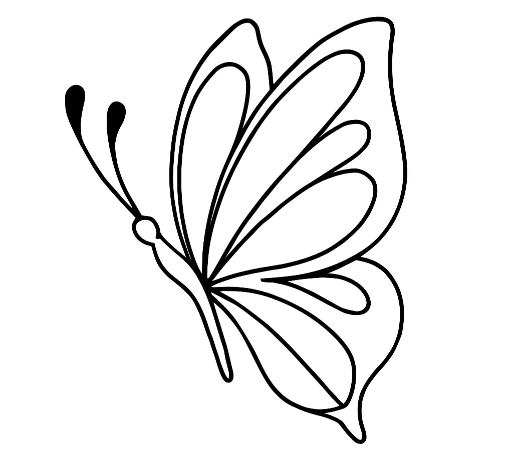 How-To-Draw-Butterfly-drawing-Step-6