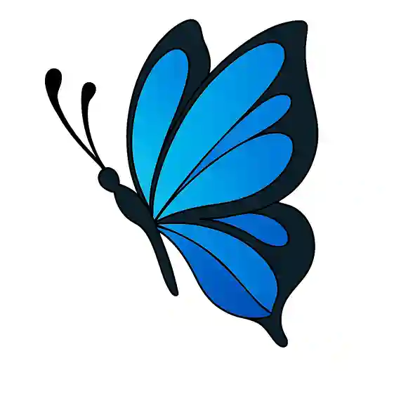 How-To-Draw-Butterfly-drawing-Final-Step