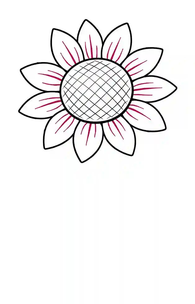 Easy sunflower drawing step 4 showing how to add simple line details inside the petals